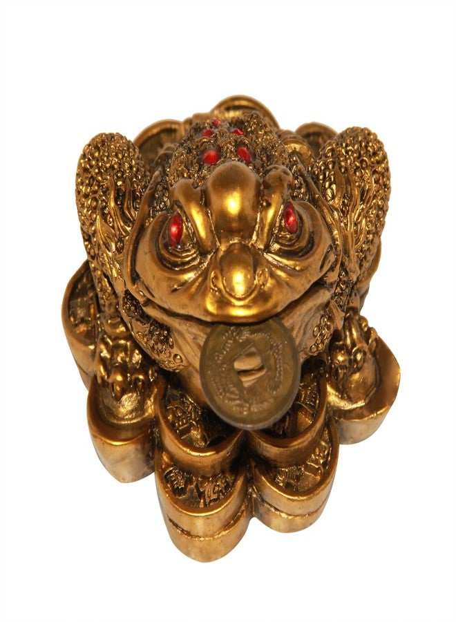 Vastu Art - Vastu Feng Shui Three Legged Frog with Coin for Good Luck Health Wealth Prosperity and Happiness Decoration Showpiece - Image 4
